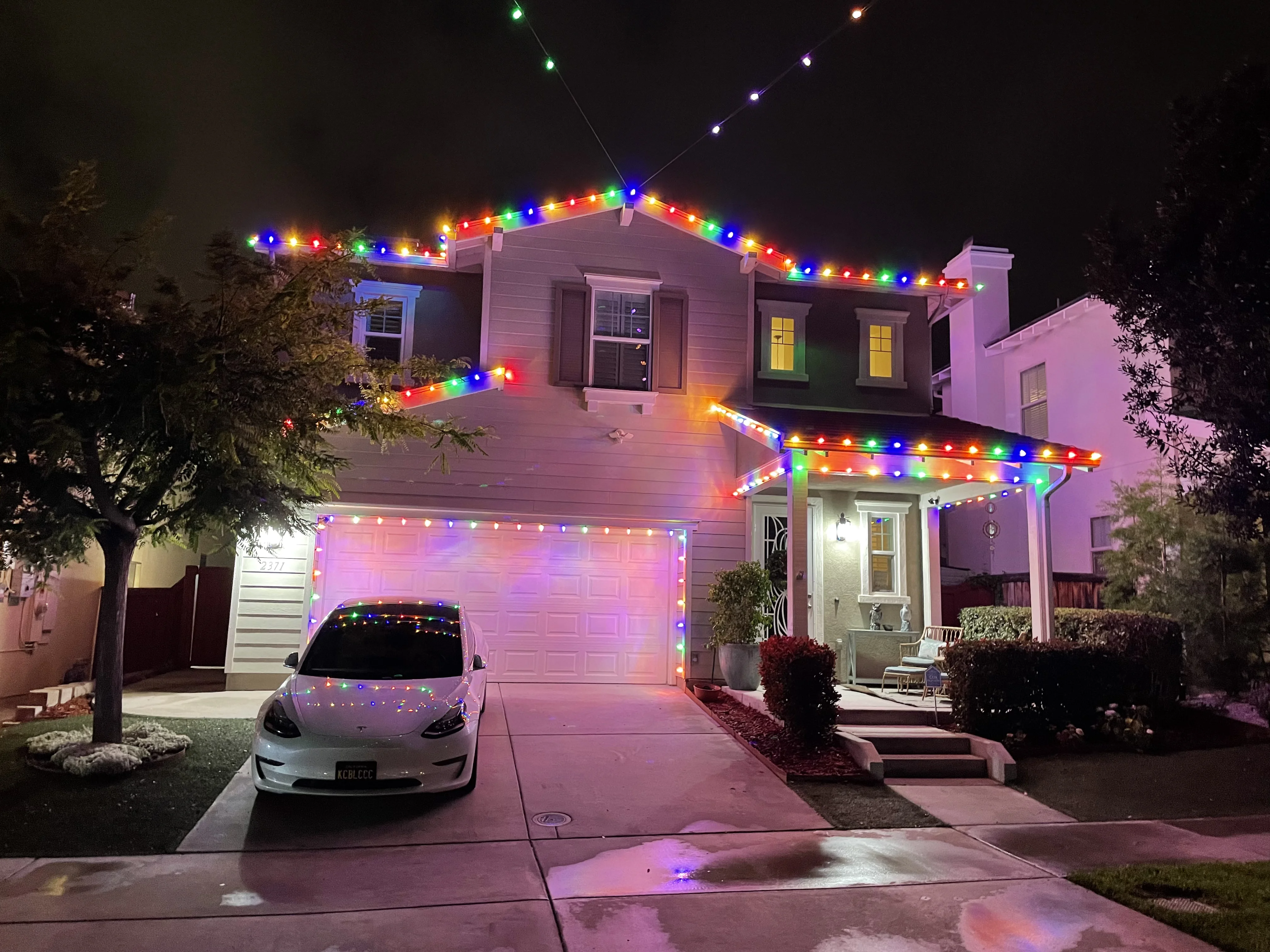 Christmas Light Installation